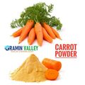 NATURAL DEHYDRATED CARROT POWDER