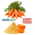 NATURAL DEHYDRATED CARROT POWDER