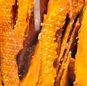 DEHYDRATED SWEET MANGO SLICES SNACKS