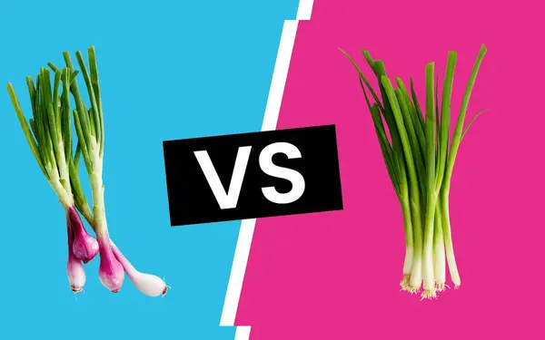 DIFFERENCE BETWEEN GREEN ONIONS, SCALLIONS, AND SPRING ONIONS
